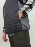 Ficka