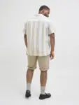 Rygg