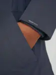 Ficka