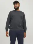 Modellfoto