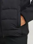 Ficka