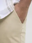 Ficka